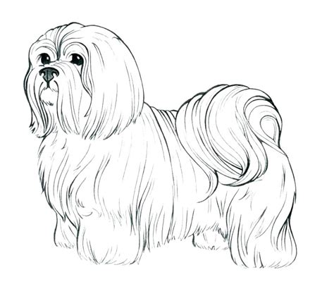 Realistic Dog Coloring Pages at GetColorings.com | Free printable ...