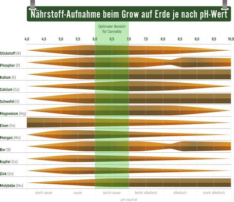 Ph Wert Beim Cannabis Anbau Das Muss Man Wissen Blog Forum