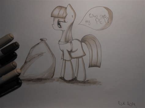 Maud Pie and Boulder by DashiePL on DeviantArt