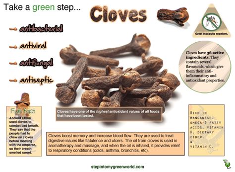 Benefits of Cloves | Dr. Daria M. Brezinski