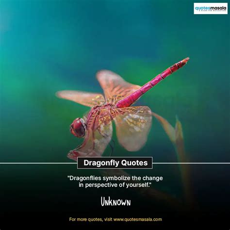 Short 80+ Dragonfly Quotes To Inspire | Quotesmasala