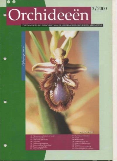 2000 3 Orchideeën Vereniging Vlaanderen