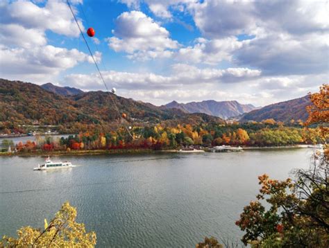 A Complete Guide On Nami Island Day Tour From Seoul The Stupid Bear