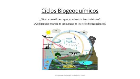 Ciclos Biogeoqu Micos Antonia Udocz