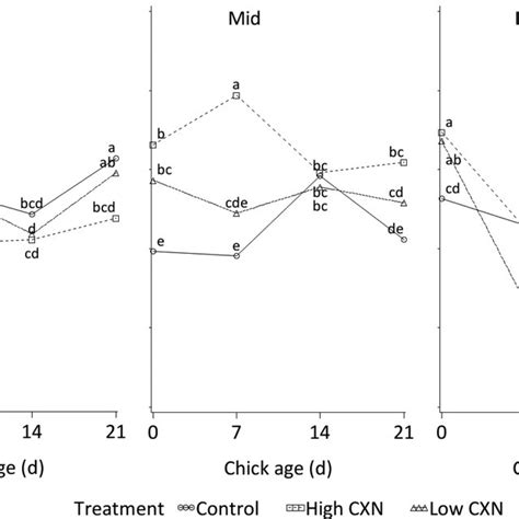 Interaction Of Breeder Age Breeder Dietary Treatment And Chick Age On Download Scientific