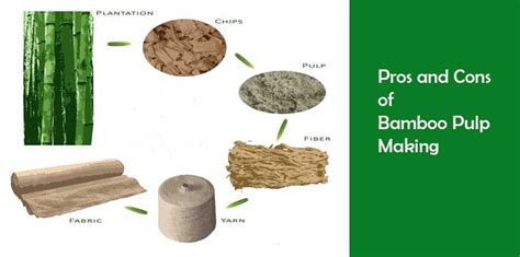 How To Make Paper Pulp From Bamboo Bamboo Pulper Machines