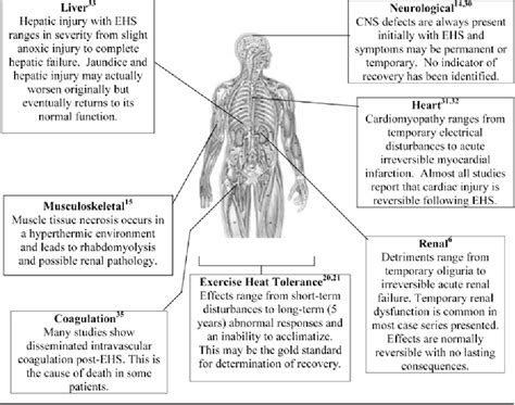 Figure 1 From Recovery And Return To Activity Following Exertional Heat Stroke Considerations