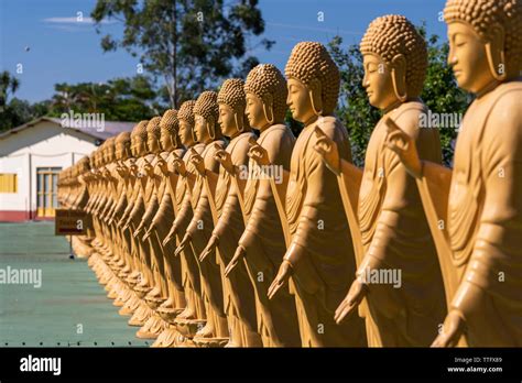 Templo Budista De Chen Tien Fotos e Imágenes de stock Alamy