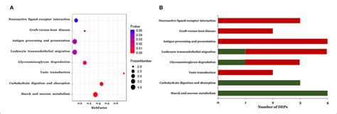 The Kegg Pathway Enrichment Analysis Of The Differentially Expressed Download Scientific