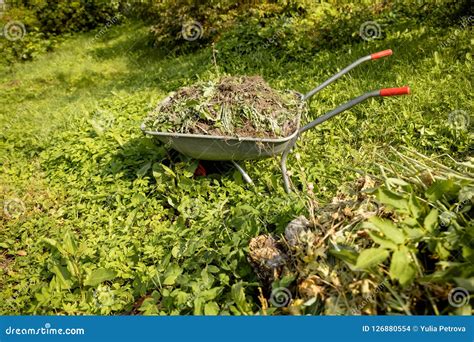 Wheelbarrowgardening Steel Trolley With Grass In The Park Garden Work