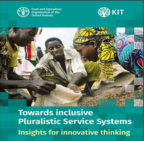 Towards Inclusive Pluralistic Service Systems Insights For Innovative