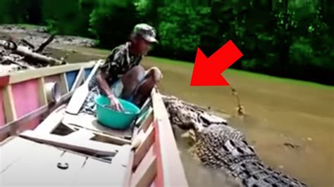 Crocodile Seeks Fisherman S Help His Shocking Revelation Unfolds The