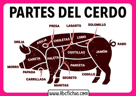 Partes Del Cerdo