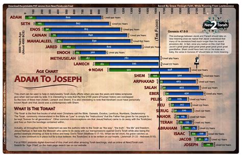 Bibleagechart 1201×782 11x17 Bible Homeschool Pinterest