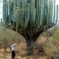 Kaiwanglei S Porn Videos Pornhub