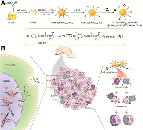 Gold Nanoparticles For Enhanced Radioisotopes Therapy Of Tumor The