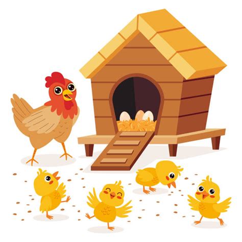 2 100 Chicken Coop Stock Illustrations Royalty Free Vector Graphics