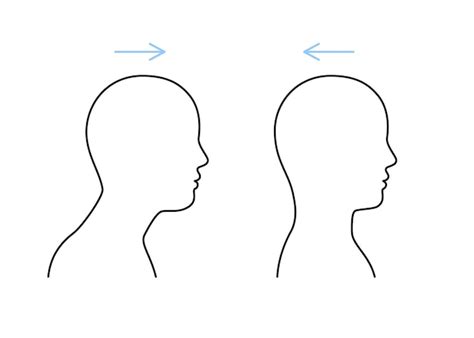 Ejercicio sobre estirar los músculos hacia adelante y hacia atrás del