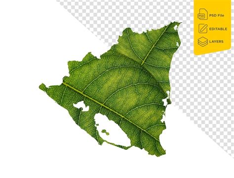 Premium PSD Nicaragua Map Made Of Green Leaves On Soil Background