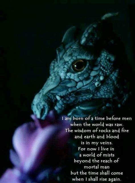 Powerful Quotes About Dragons For All Dragon Lovers Enkivillage If You Love Fantasy