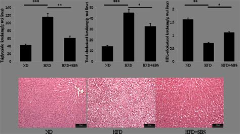 Sbs Reduces Hepatic Lipid Levels In Hfd Induced Hepatic Steatosis In