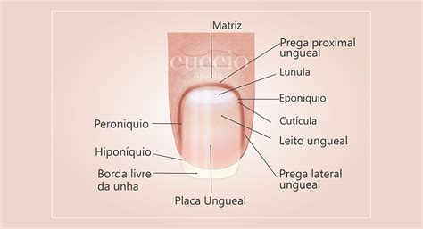 Unhas E Sa De Unhas Frases De Unhas