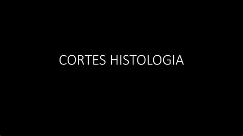 Cortes Histologicos Hannia Callejas Udocz