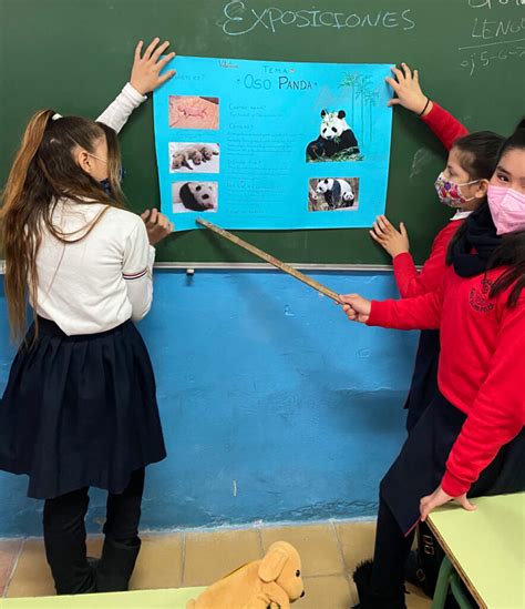 Exposiciones Orales Colegio San Luis Felca