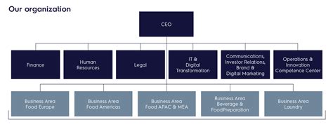 Organizational Structure Electrolux Professional Corporate