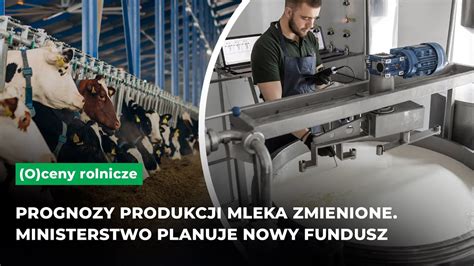 Ceny Mleka Spad Y Koszty Produkcji Wzros Y Jaka Jest Sytuacja Na