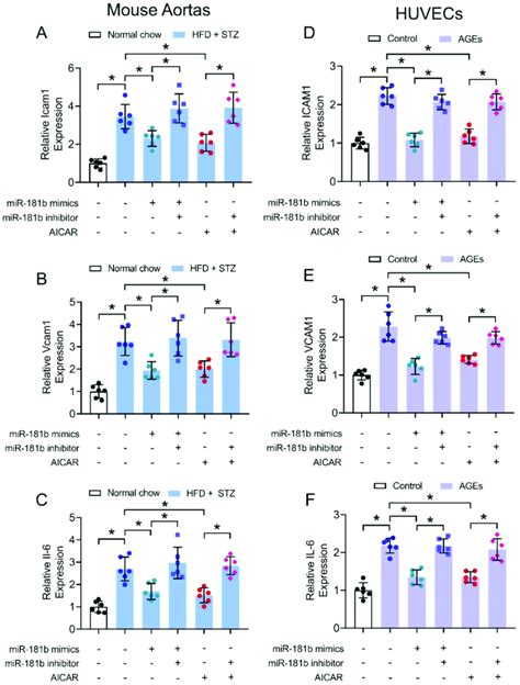 Effects Of Mir B Mimics And Inhibitor On Vascular And Endothelial