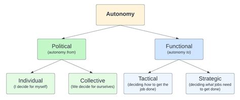 Political And Functional Autonomy And Sub Types 4 Of Autonomy