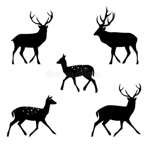 Deer Collection Vector Silhouette Stock Vector Illustration Of Deer Horn 46337255