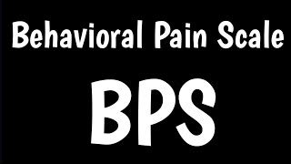 behavioral pain scale bps doovi