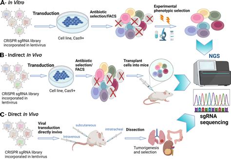 Frontiers Unveiling Immune Checkpoint Regulation Exploring The Power