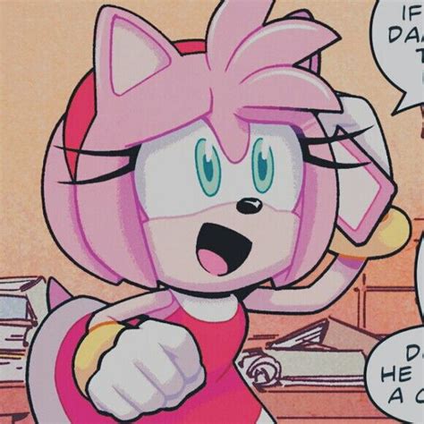 Pin By Maximum Pietro On Sonic Pfp Amy Rose Amy The Hedgehog