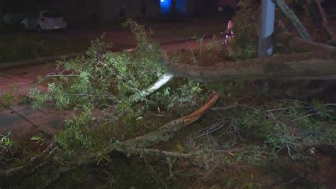 Houston Weather Powerful Winds Cause Power Outages Downed Trees