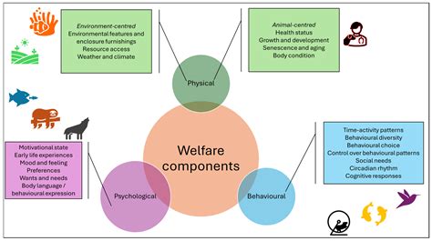 zoo animal welfare 2