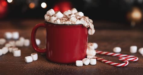 10 Best Hot Chocolate Recipes To Warm You Up All Season Long