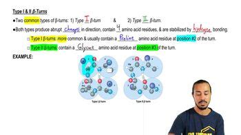 Beta Turns | Channels for Pearson+