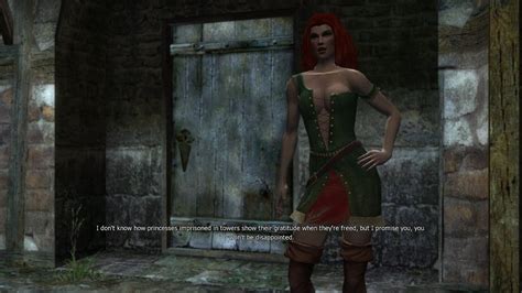 The Witcher 1 Courtesan Romance Youtube