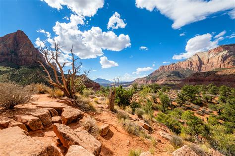 10 Best Hiking Trails in Zion National Park - Hike up Your Backpack and ...