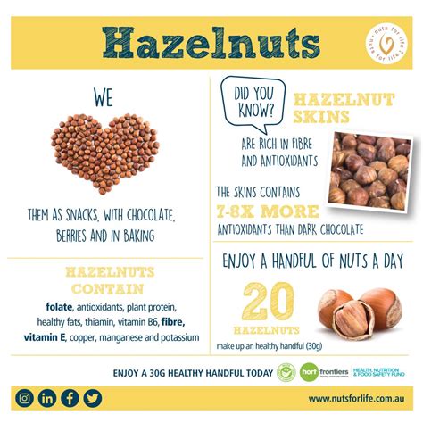 Hazelnuts Nuts For Life Australian Nuts For Nutrition And Health