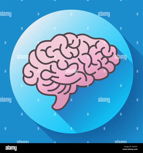 Icono del cerebro humano símbolo de la inteligencia el estudio el