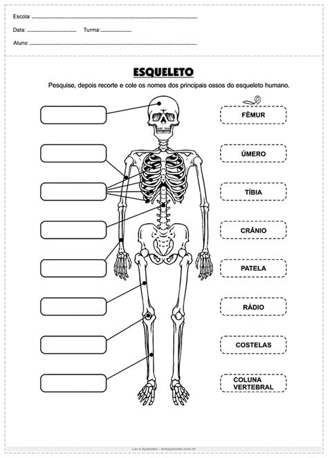 Atividade de ciência esqueleto Ler e Aprender