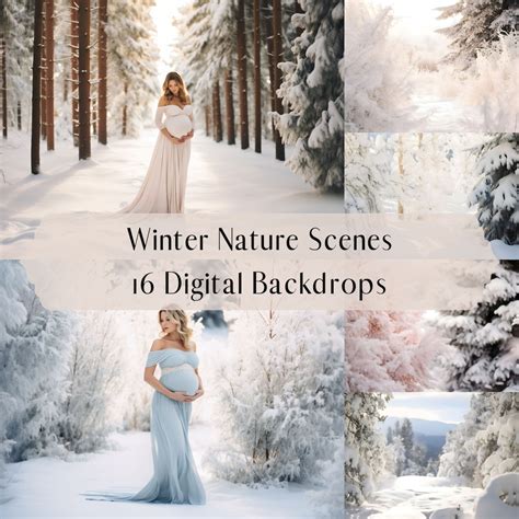 Winter Nature Scene Digital Backdrops, Snowy Forest Woods Bush ...