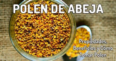 PROPIEDADES Y BENEFICIOS DEL POLEN DE ABEJA