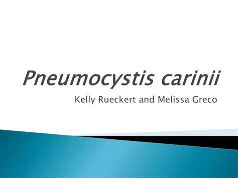 Ppt Pneumocystis Carinii Powerpoint Presentation Id854123