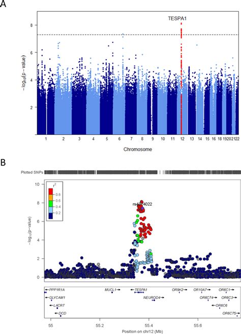 Cross Ancestry Gwas Meta Analyses Of Dnamtl Identifies Tespa1 A Download Scientific Diagram