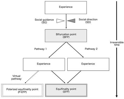 Ijerph Free Full Text Longitudinal Process Of Setting And Achieving